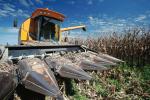 Пальне обходиться аграріям все дорожче: у 2022 тонна дизпалива вартувала 9,8 тонн зерна 