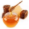 Європарламент ухвалив нові правила щодо походження меду та боротьби з його фальсифікацією 