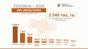 Аграрії України посіяли 2,4 млн га  ярини