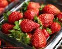 Українська полуниця витісняє імпортну ягоду